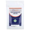 Lactococcus Lactis, 3.5 oz (100 g)
