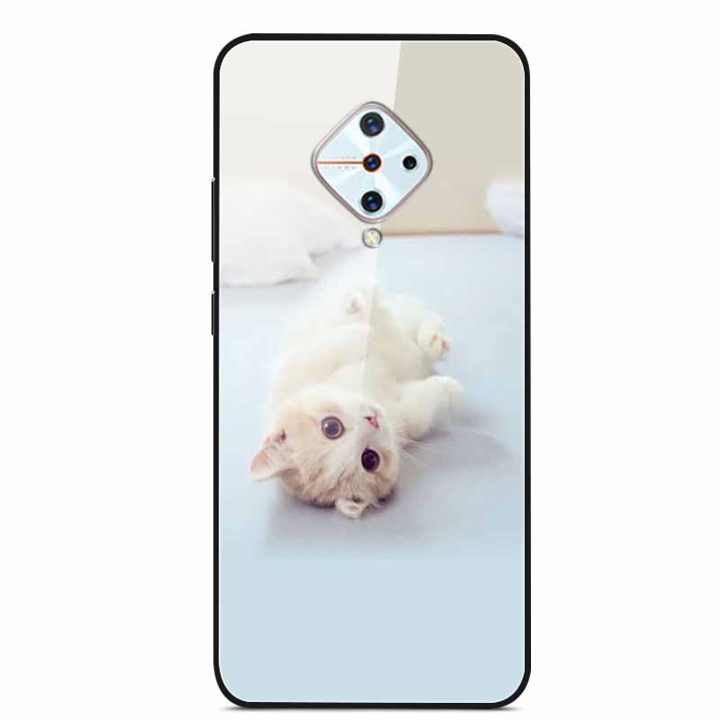 Tempered Glass Case For Vivo V17 Case Russia Glass Back Cover Soft Bumper For Vivo V17 Phone Cases V 17 Funda Y9s S1 Pro Coque