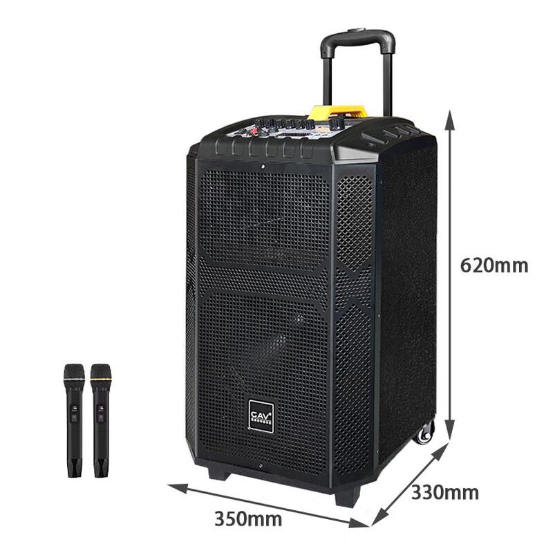 GAV K910 10-inch Portable Bluetooth Speaker with Dual Microphones