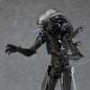 New Figma SP-108 Alien Xenomorph Takeya Takayuki Ver Articulated Action Figure Movie Model Desk Decor Collectible Toy Fan Gift