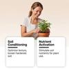 Soil Activator Powder for Enhanced Plant Growth and Improved Soil Structure 100g Natural Formula for Garden and Agriculture Use