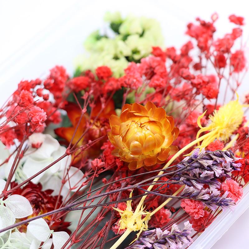 Handmade DIY Kit: Natural Preserved Flowers Variety for Valentine's Day Gift Bouquets