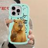 Soft Phone Cover Case for iPhone 18 13 15 Plus 11 8 14 17 Air 16 Pro Max 12 XR Capybara Cute Fashion