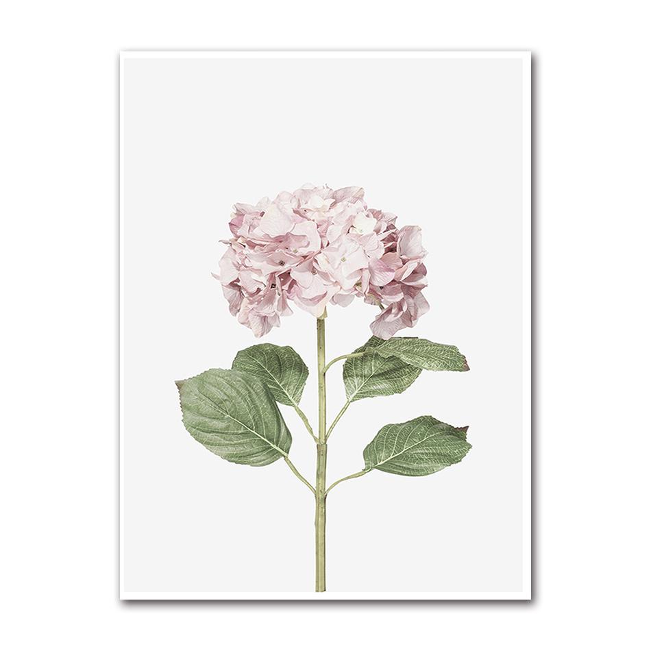 Kitchen Shop Cafe Wall Art s HD2862 Quote Decor Herbs Plants Canvas Prints Coffee Pictures