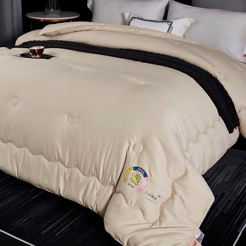 Donnar Home Warm Velvet Quilt with Ginger Essence Fabric