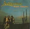 7inch Record LINDISFARNE  Warm Feeling 6007205 Mercury 1978 UK Rock Used