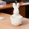 Handmade Craft Bowl 3D Printed Easter Bunny Candy Bowl, Cute Rabbit Holding Figurine, DIY Paintable White Desk Shaped Holder Decor for Living