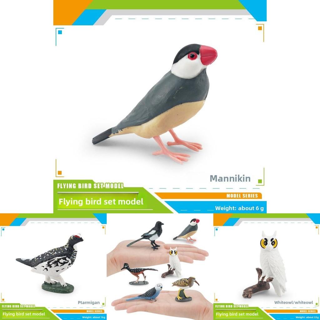 Parrot And Owl Figurines Made Of Plastic For Display And Educational Purposes