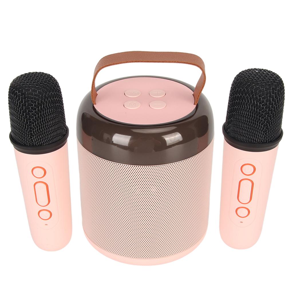 Wireless Karaoke Speakers RGB Light  5.3 Speaker with 2 Wireless Microphones Portable Karaoke Machine for Family Party