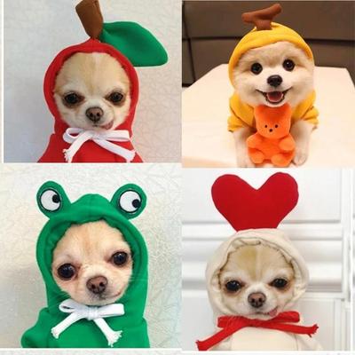 Dog Sweater Thin Pet Clothes Kitten Dog Clothes Fruit Sweater Dogs Cats Fruits  Pets Autumn and Winter Sweaters