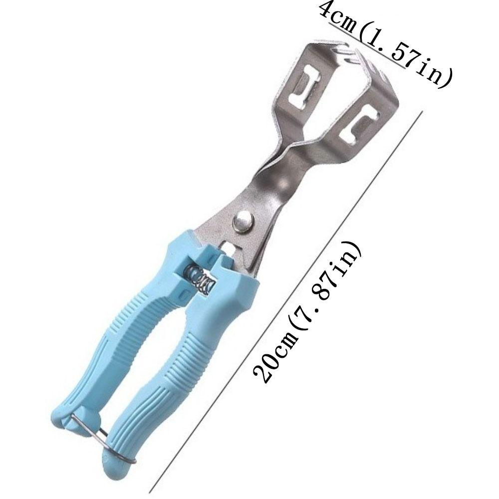 Stainless Steel Chestnut Opener Multi-Functional Chestnut Clip Peeler  Nut Processing