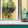 2Pcs Plastic Hanging Planter Basket Round Wall Mounted Flowerpot for Small Plants Succulents Indoor Outdoor Decoration Stylish