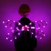 Dress Up Cicada Wing Light Up Dragonflies Wing Halloween Costume Wing LED Elves Wing Princess Wing for Women Girls Teens