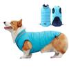 "Trendy Pet Down Jacket for Corgi, Teddy, Bichon, French Bulldog, and Pomeranian - Autumn & Winter"
