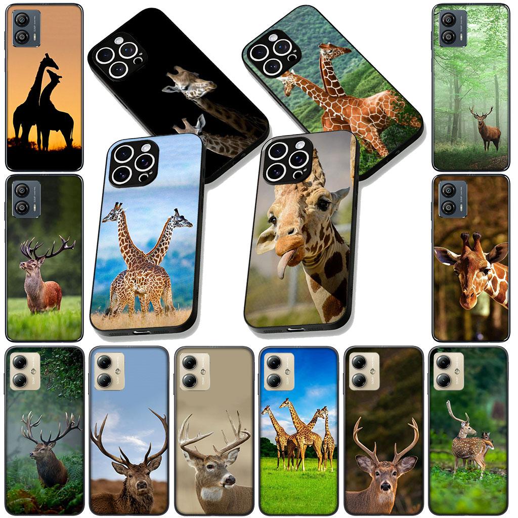 Phone Cover for Samsung Galaxy Note 20 9 8 S8 S10 S9 Plus A54 A33 A21S A31 M21 S10E A17 Casing Case Deer Hunting Buck Giraffe