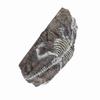 Aquarium Dinosaur Reliquiae Decoration Reptile Resin Dinosaur Reliquiae Rock Hideout for Fish Tank