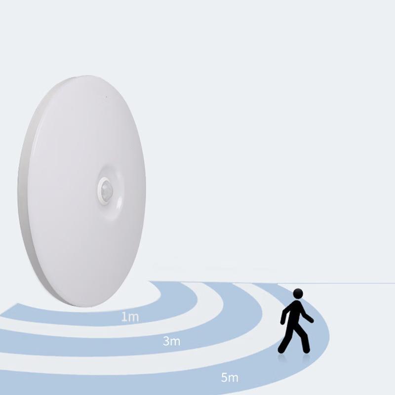 OEING Microwave Radar Motion Sensor LED Ceiling Light