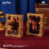 Licensed Harry Potter 3D Night Light Magnet with Adjustable Brightness – Warner Bros. Pocket Mirror