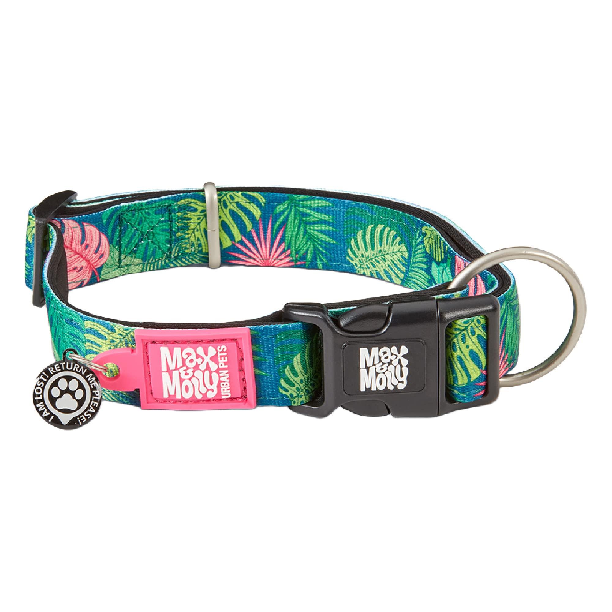 

ROOKCRAN Max Molly Small Tropical Stylish and Ideal for Training Your 115889 & Collar, Design, Cute, Pet,
