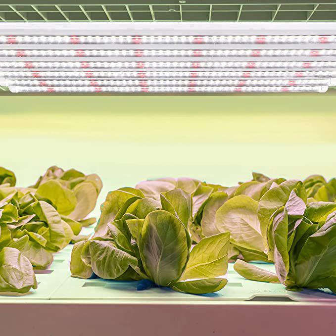 T5 Spot-Focus LED Plant Light Tube for Succulents and Greenhouse Flowers