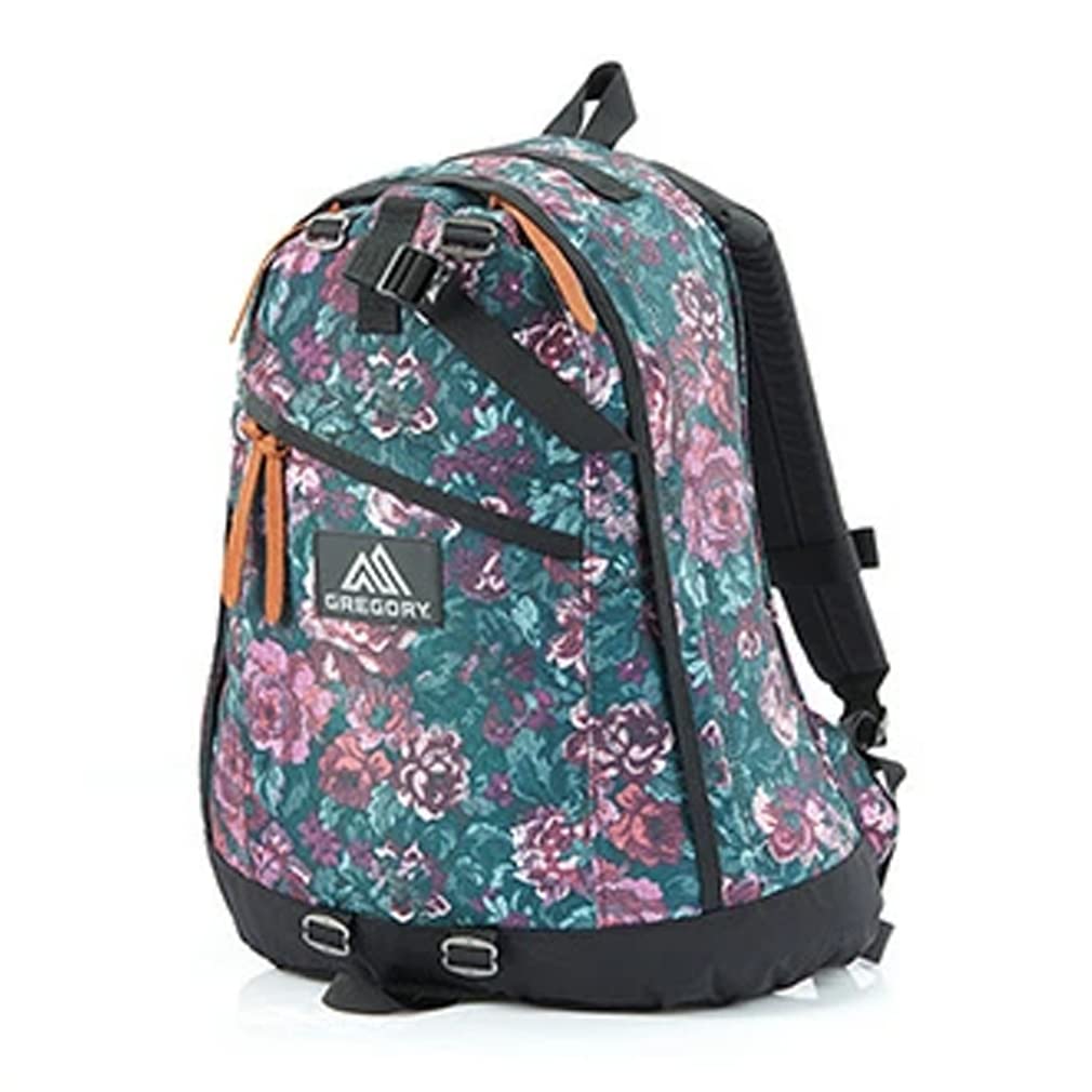 

Рюкзак Daypack Rusty Tapestry Free Size [Gregory]