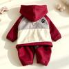 Waterproof Padded Dog Jacket Windproof Winter Dog Clothes Stylish Puppy Storm Coat  Small Dogs