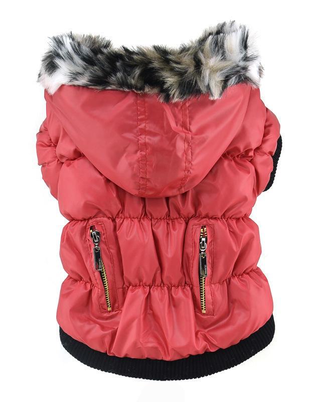 

Тепла бавовняна шерстяна шуба для європейських і американських собак XS червоний