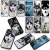 Phone Cover Animal Lovely Husky Dog Casing for Apple iPhone 17 16 11 Pro XS Max XR 6 7 8 Plus + 16E SE 2020 Air 5 8+ Case