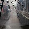 Large Transparent Windproof Umbrella for Two, Semi-Automatic, Solid Color, Reinforced Long Handle