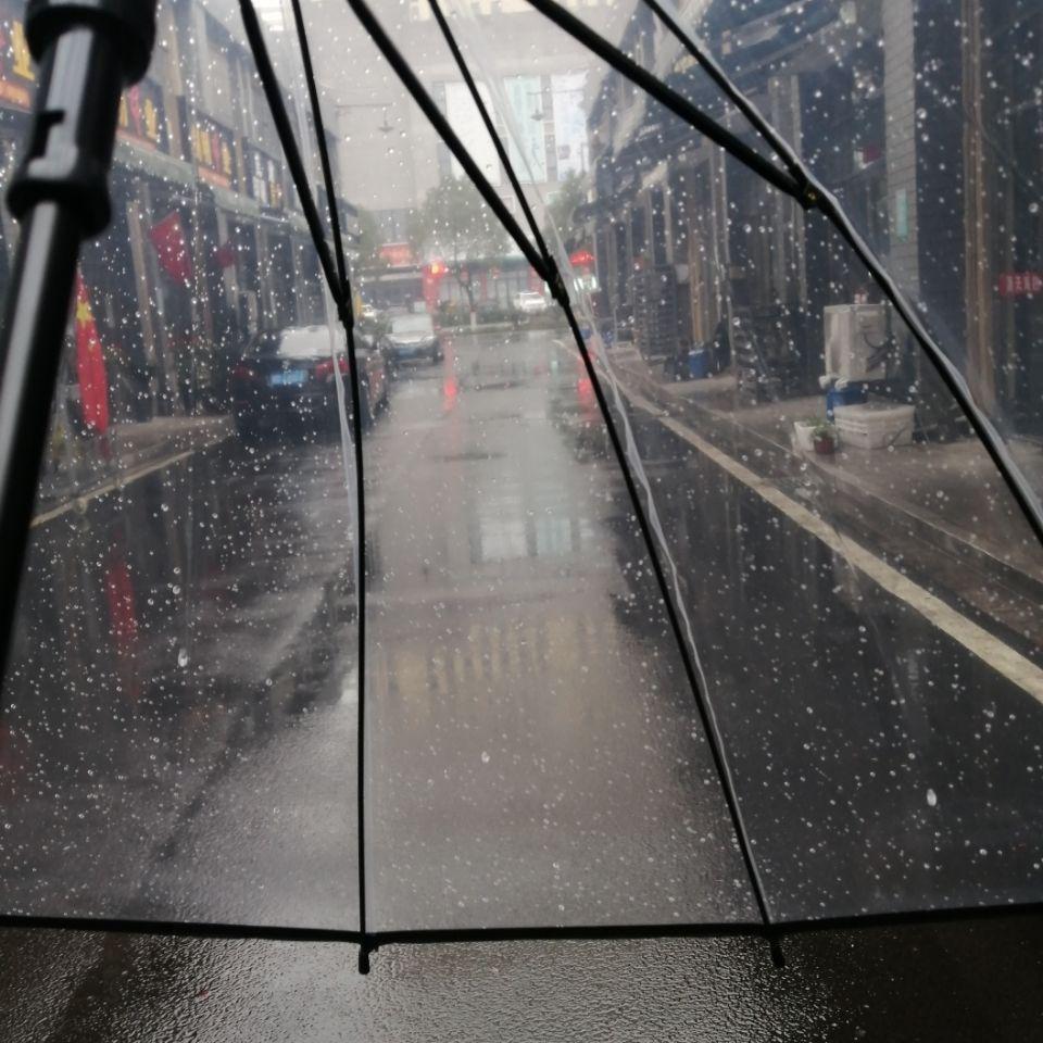 Large Transparent Windproof Umbrella for Two, Semi-Automatic, Solid Color, Reinforced Long Handle