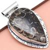 Pendant Turtella Jasper Gemstone Gift For Her Silver Jewelry "
