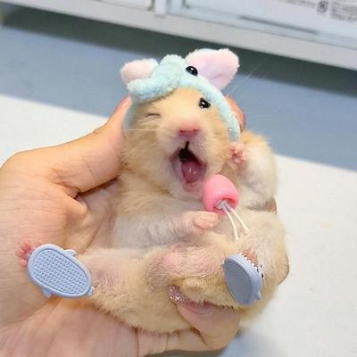 1 paar Mini Shark Pantoffel Für Kleine Haustier Hamster Wenig wenig Hedgehog Schildkröte Kleine Hamster Liza I5P0