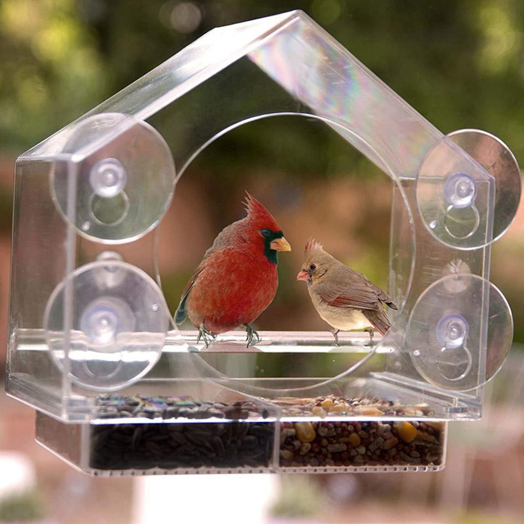 Wetterfestes Fenster-Vogelhaus Acryl-Fenster-Vogelfutterspender für draußen Klare Vogelfutterspender zur Beobachtung Blauhauben-Häher Finken