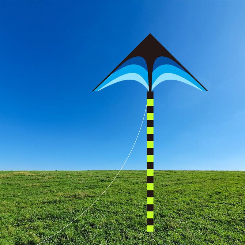 Neuer Großer Wiesen-Drachen Drachen für Erwachsene Outdoor-Unterhaltung Bunte Handgefertigte Glasfaserstange Moderner Schlichter Stil