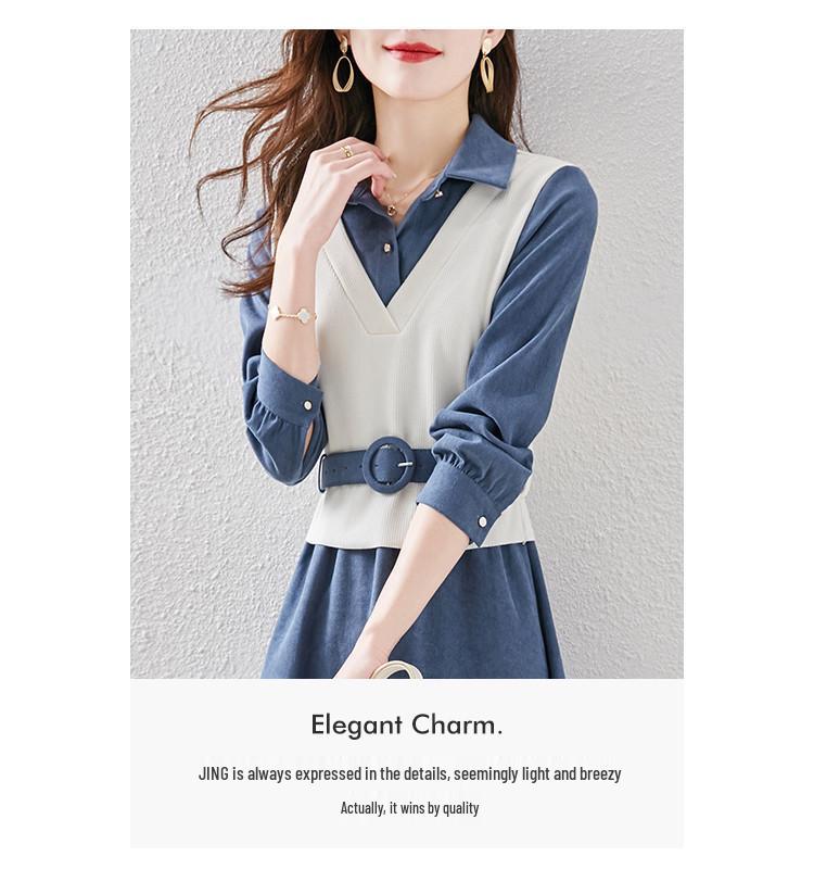 Spring 2024 Trendy Women's A-Line Dress: Long-Sleeved, Waist-Slimming with Large Swing Skirt