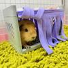2pcs Soft Hamster Hide House Curtain Breathable Guinea Pig House Door Curtain  Dwarf Bunny