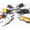 Figure The Access 3D Beetle World Beetles World Stag Set of Realistic Insect Figure New Design Edition [Insect Set] Encyclopedia & Beetles, 2, Toys,