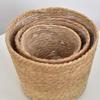 Nordic Style Hugging Plant Set: Woven Straw Flower Pot for Living Room & Balcony Decoration