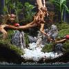 Natural Tree Trunk Driftwood Aquarium Fish Tank Reptile Cylinder Making Roots Plant Wood Decoration Ornament