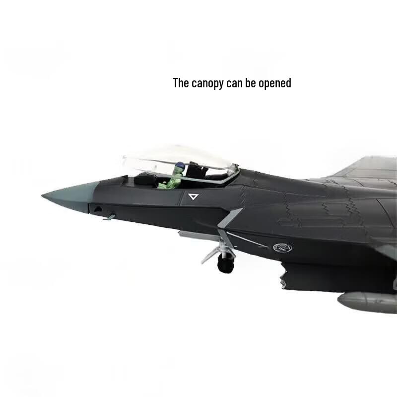 J-31 Fighter Jet Alloy Model
