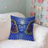Aesthetic Art Alex Grey Case Plush Fabric Soft Pillowcase Double Sided Print Cushion Cover Household Gifts