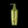 Schwarzkopf Ginger Essence Oil Control Hair Conditioner