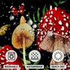 Renaiss 72X72 Inches Mushroom Boho Shower Curtain Retro Red Mushrooms Butterfly Botanical Wildflowers Green Plant Starry Night S