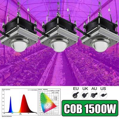 144LED COB Grow Light Lamp 3000W Full Spectrum Lighting For Seedling Cultivation