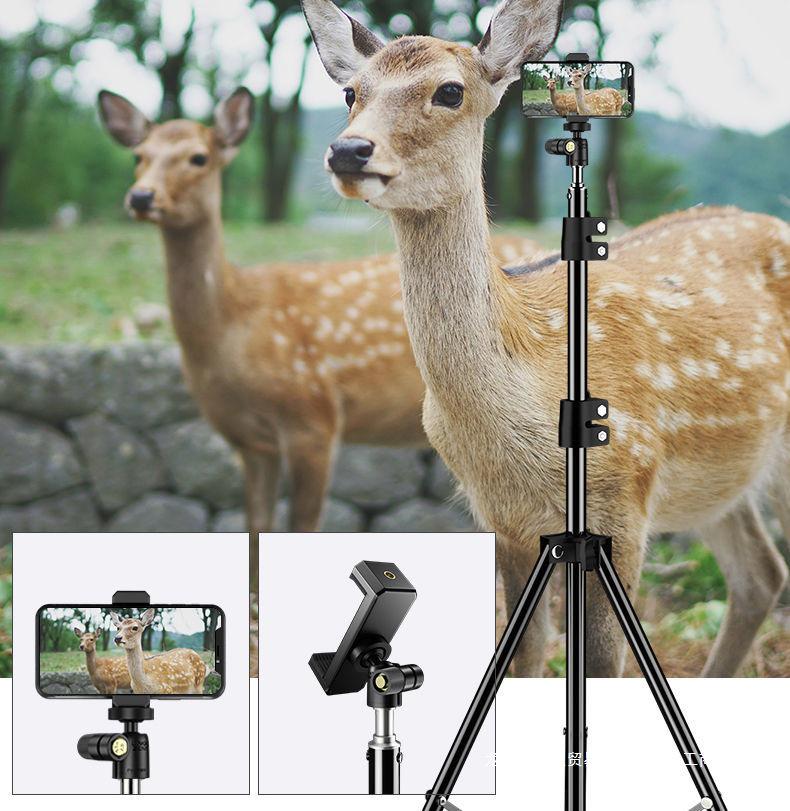 Outdoor Multi-Functional Phone Stand Tripod with Fill Light for Streaming & Photography