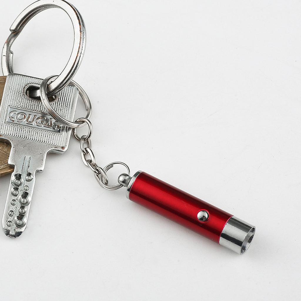 Toy Red Pointer Dog Interactive Training Tools LED Torch Light with Keychain