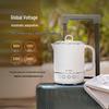 Buydeem Portable Mini Electric Kettle CN plug (adapter included)