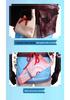 The Legend of Zelda: Tears of the Kingdom Link Cosplay Costume Full Set