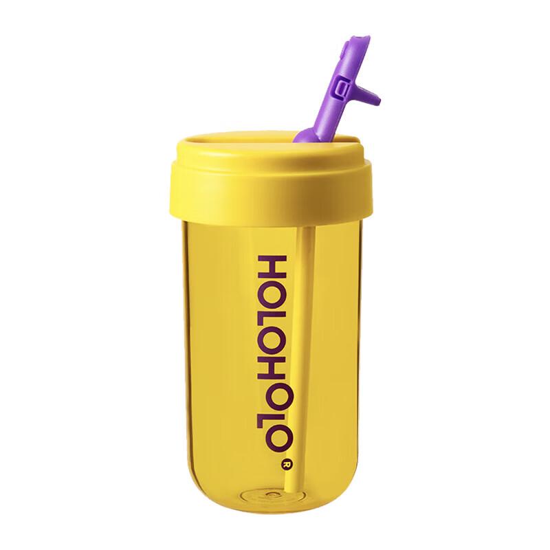 HOLOHOLO 316 Stainless Steel Straw Water Bottle 450ml