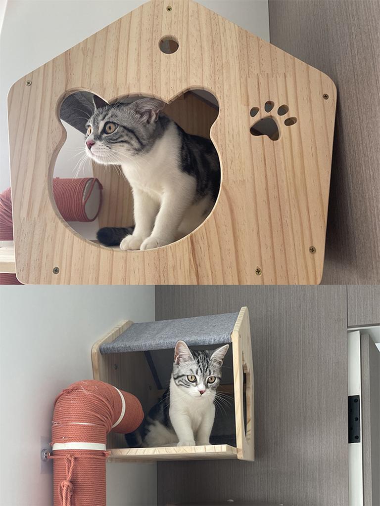 Cat Wall Climbing House Shelf Bed Wall Mounted Tree Tower Hiding House Villa Castle for Indoor Cats Accessories Sleeping
